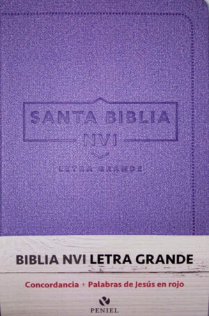 Biblia NVI letra grande