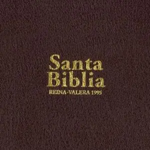 Reina Valera 1995 bolsillo