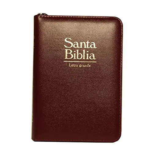 Biblia Reina Valera 1960 | Letra Grande | Vinotinto