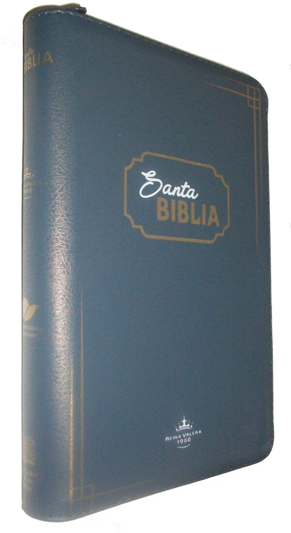 Biblia 065 RVR60 Gris LG tubiblia.com.co