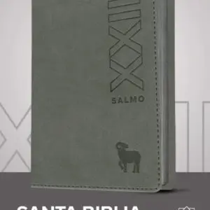 Biblia compacta Gris NTV