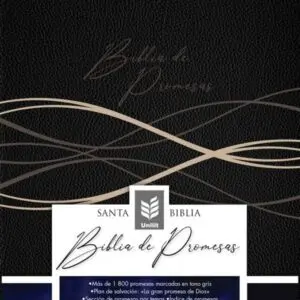 RVR60 Biblia de Promesas Letra Grande