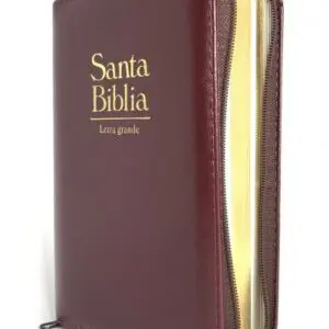 Biblia Reina Valera 1960 | Letra Grande | Vinotinto