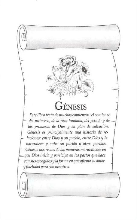 Biblia Devocional para Mujer NVI Piel