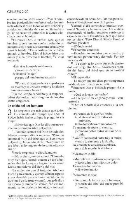 Biblia Devocional para Mujer NVI Piel