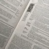 Biblia de estudio Diario Vivir NTV - Imagen 3
