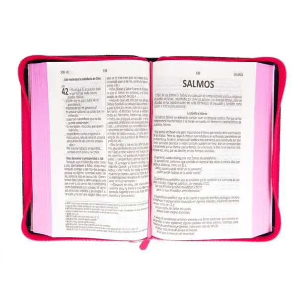 Biblia DHH Letra Grande Jean Fucsia Biblia DHH Letra Grande Jean Fucsia