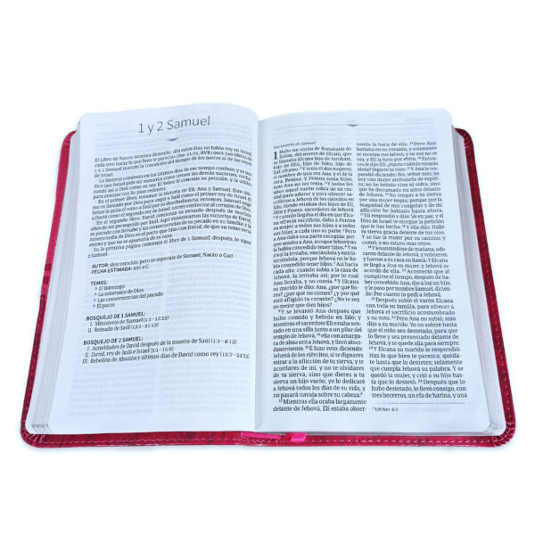 Biblia Mis Quince, cóctel de frambuesa con aplique símil piel RVR 1960 - Imagen 4
