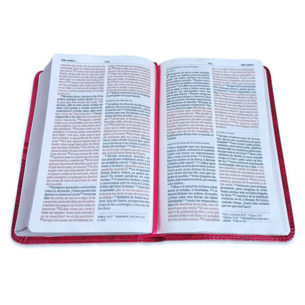 Biblia Mis Quince, cóctel de frambuesa con aplique símil piel RVR 1960 - Imagen 3