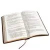 Biblia del Ministro Fina Piel Fabricada RVR60 - Imagen 3