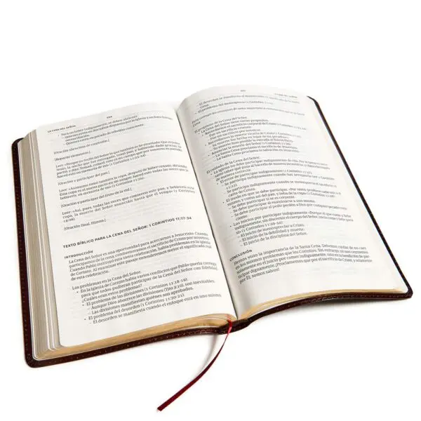 Biblia del Ministro Fina Piel Fabricada RVR60 - Imagen 3