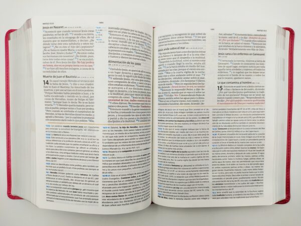 Biblia De Estudio Holman RVR1960 Símil Piel Fucsia Rosado