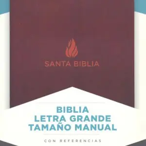 NVI Biblia Letra Grande Tamano Manual marron, piel fabricada