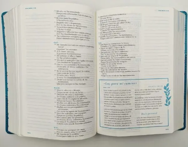 BIBLIA DEVOCIONAL MUJER VERDADERA NBLA DUOTONO AQUA