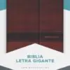 NVI Biblia Letra Gigante marron, simil piel con indice y solapa con iman