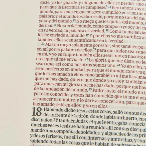 RVR 1960 Biblia de apuntes mosaico, piel fabricada - Imagen 3