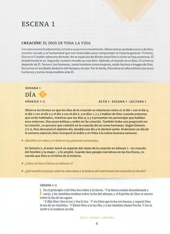 Biblia Cronológica Día por Día | Símil Piel