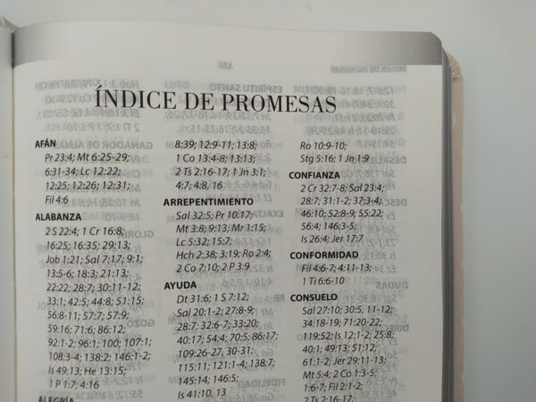 Biblia de Promesas LG | RVR60 | Floral Moderno