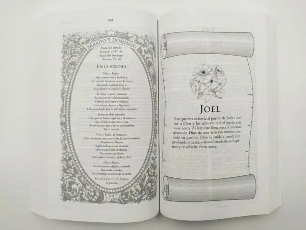Mi Día con Dios | Biblia para Mujeres RVR60 | Tapa Rústica - Imagen 2