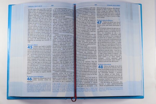 Biblia de Estudio Llamados a la Reconciliación | RVR60 | Tapa Dura
