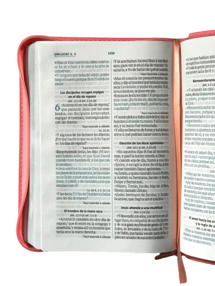 Biblia 045 Rosa Beige RVR1960 tubiblia.com.co