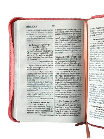 Biblia 045 Rosa Beige RVR1960 tubiblia.com.co