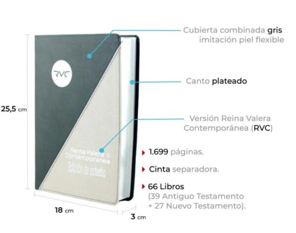 Biblia Reina Valera Contemporánea Rvc - Edición De Estudio