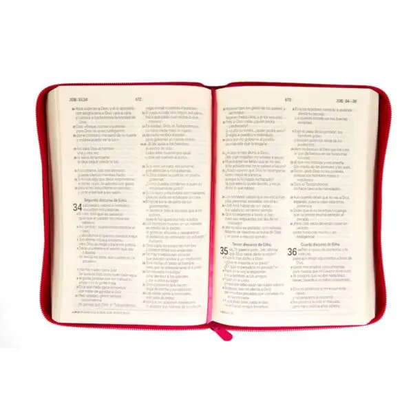 Biblia Dios Habla Hoy línea colores mediana - fucsia