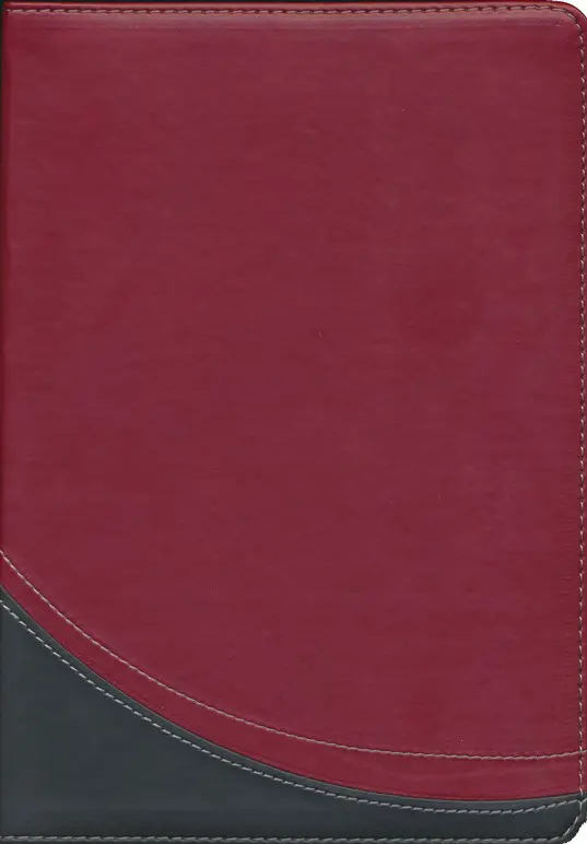 La Biblia en orden cronológico RVR 60