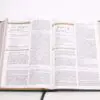 RVR 1960 Biblia de estudio para mujeres, tela verde