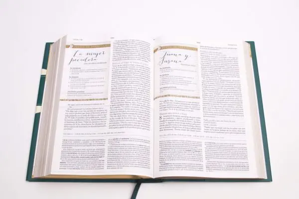 RVR 1960 Biblia de estudio para mujeres, tela verde