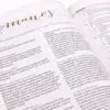 RVR 1960 Biblia de estudio para mujeres, tela verde