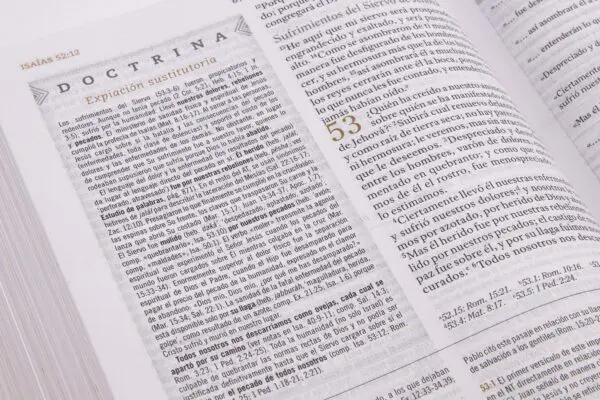 RVR 1960 Biblia de estudio para mujeres, tela verde
