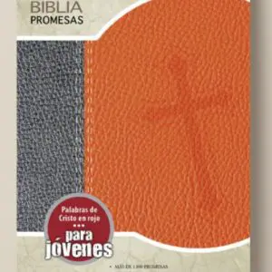 Biblia NTV de Promesas Jóvenes Naranja/Gris tubiblia.com.co