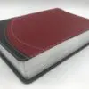 Biblia cronologica