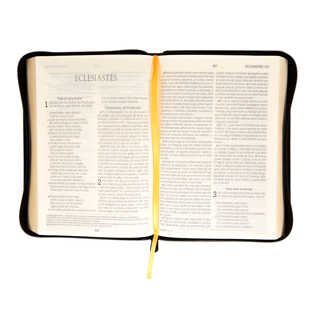 Biblia DHH Negra dorado - Imagen 2