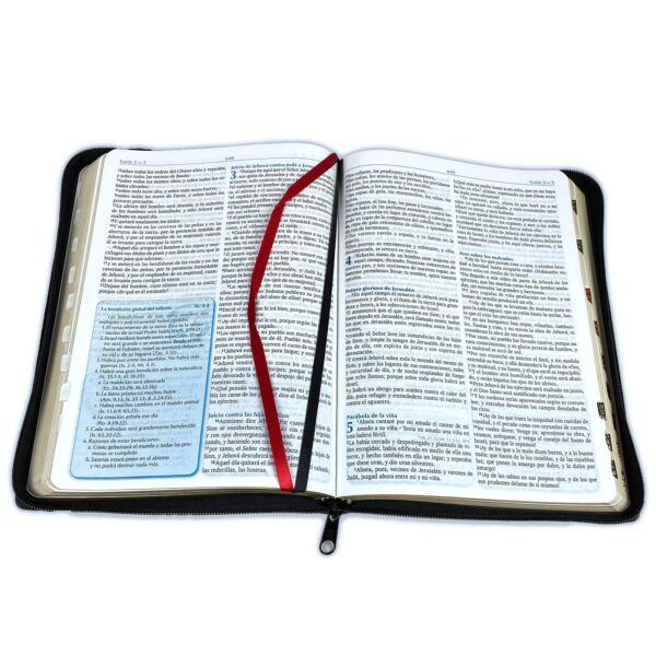 Biblia para la Predicación RVR 1960 Negra tubiblia.com.co