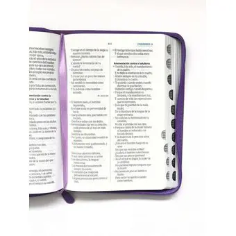 Biblia RVR 60 Morada