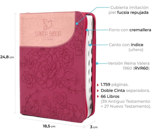 Biblia RVR60 Letra Gigante - Fucsia Rosa