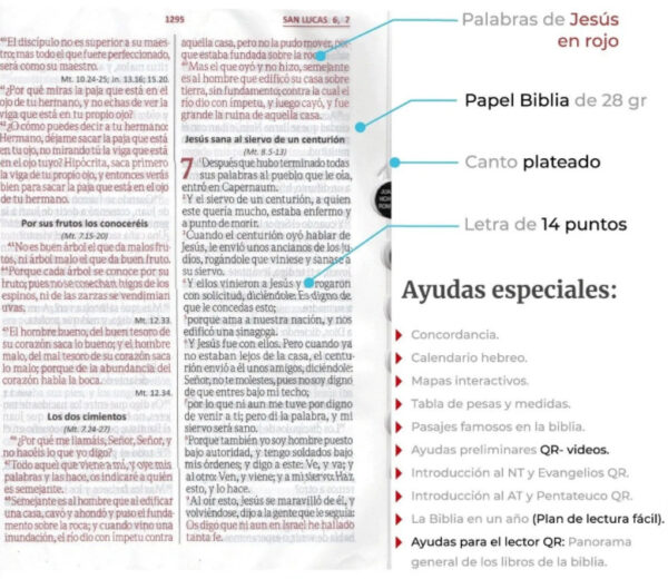 Biblia RVR60 Letra Gigante - Fucsia Rosa