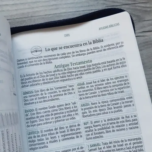 Biblia de estudio RVR 60 con promesas azul - Imagen 3