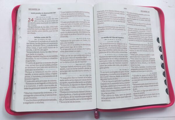 Biblia RVR60 085 Fucsia Rosa