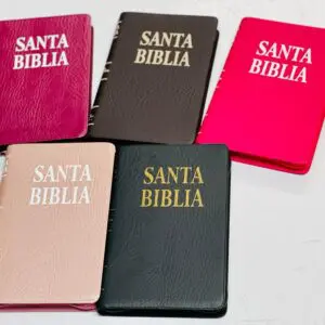 Biblia Reina Valera 062C