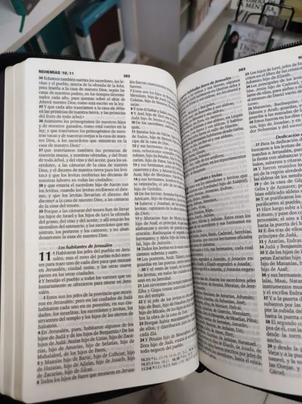 Biblia Reina Valera Cuero Italiano 065C - Imagen 4