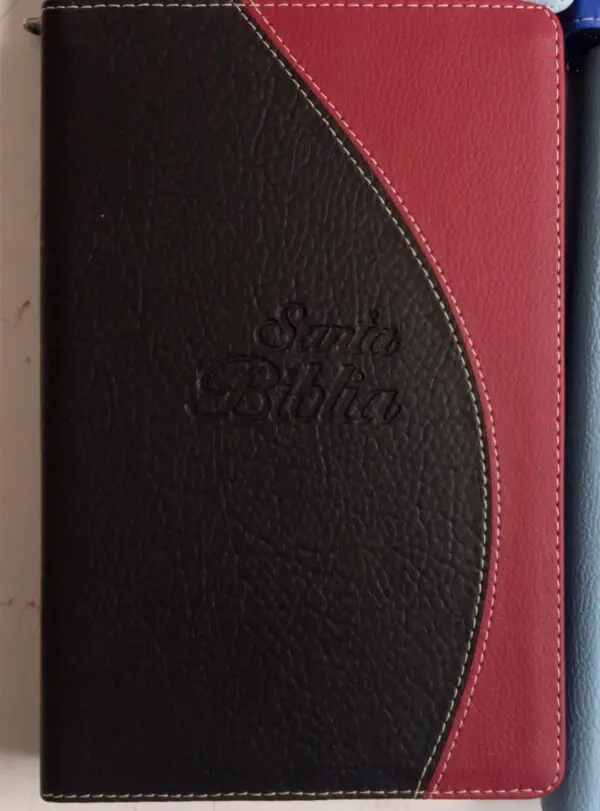 Biblia NVI Letra Grande con Concordancia y Cierre - Imagen 2