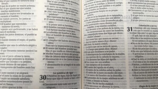 Biblia Reina Valera 1960/Forrada - Imagen 2
