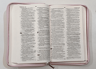 Biblia Reina Valera 1960/Forrada - Imagen 3
