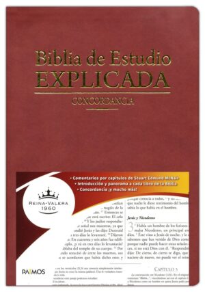 Biblia De Estudio Explicada Piel Especial