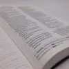 Biblia Textual IV Edición