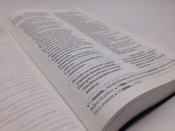 Biblia Textual IV Edición